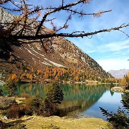 Amaranta Room&breakfast Affittacamere