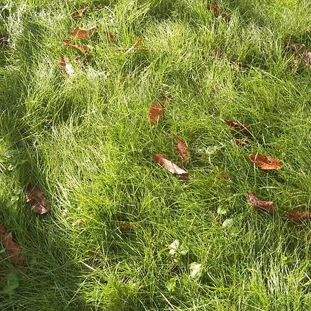 Vendégház Amaranta And Breakfast Edolo